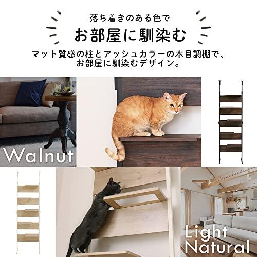 中古品 アイリスオーヤマ キャットステップ 覗ける透明板 キャットタワー キャットウォーク 省スペース CATS-68 ウォールナット 【BCD7557675603】(27557円)