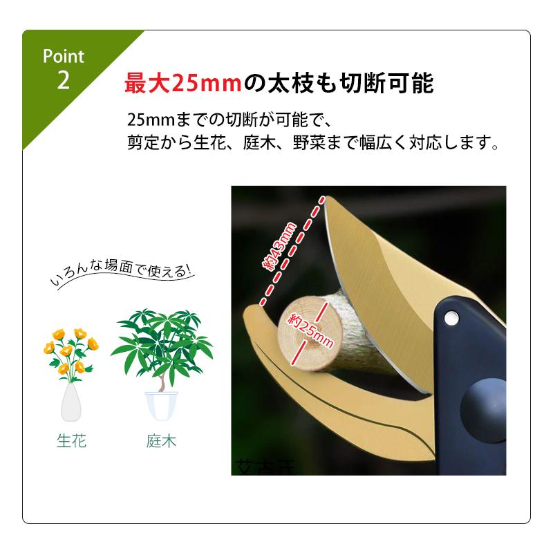 剪定ばさみ サクサク切れる 2段階調節可能 家庭菜園 強力 はさみ ハサミ 庭 木 剪定バサミ 剪定鋏 せんていばさみ 園芸 枝切り 枝 切り ロック 25mm |  | 09