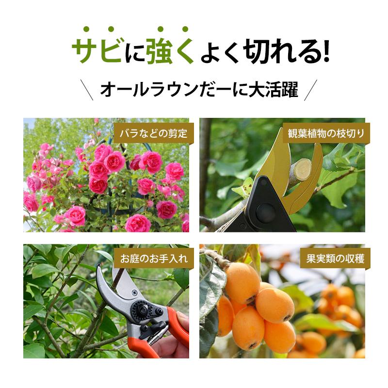 剪定ばさみ サクサク切れる 2段階調節可能 家庭菜園 強力 はさみ ハサミ 庭 木 剪定バサミ 剪定鋏 せんていばさみ 園芸 枝切り 枝 切り ロック 25mm |  | 13