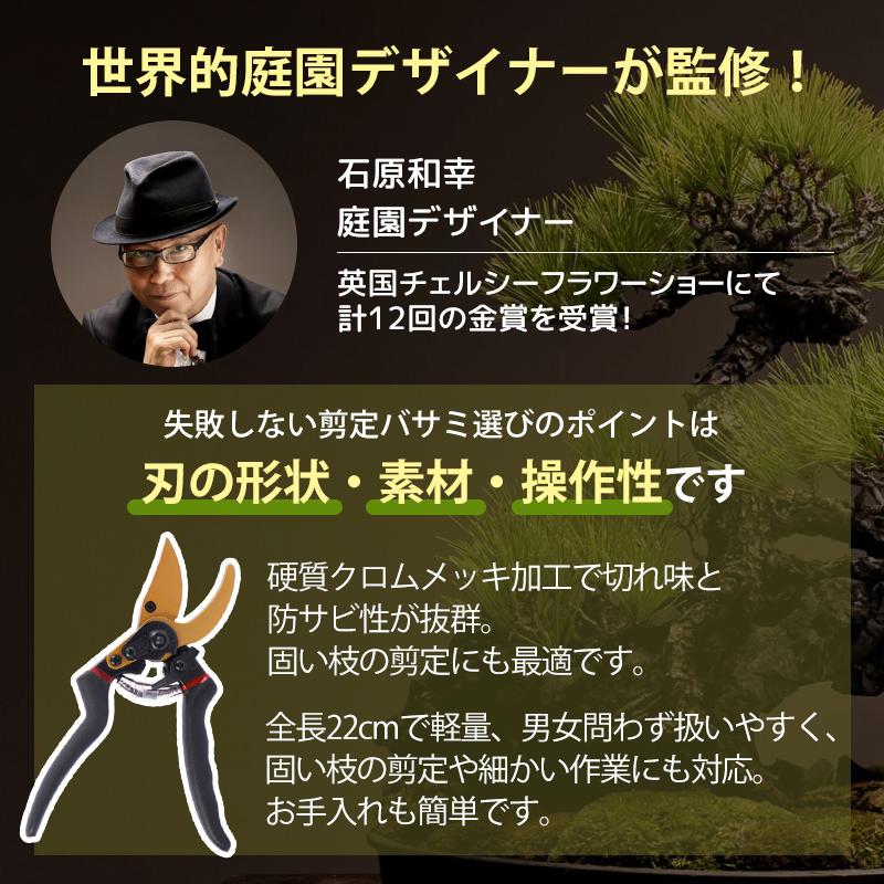 剪定ばさみ サクサク切れる 2段階調節可能 家庭菜園 強力 はさみ ハサミ 庭 木 剪定バサミ 剪定鋏 せんていばさみ 園芸 枝切り 枝 切り ロック 25mm |  | 01