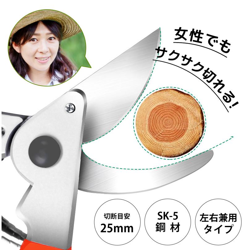 剪定ばさみ サクサク切れる 2段階調節可能 家庭菜園 強力 はさみ ハサミ 庭 木 剪定バサミ 剪定鋏 せんていばさみ 園芸 枝切り 枝 切り ロック 25mm |  | 02