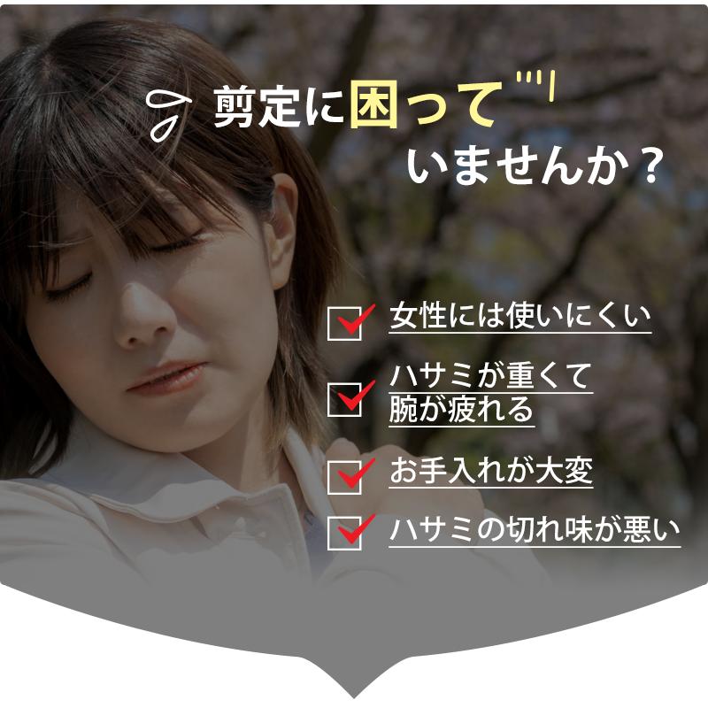 剪定ばさみ サクサク切れる 2段階調節可能 家庭菜園 強力 はさみ ハサミ 庭 木 剪定バサミ 剪定鋏 せんていばさみ 園芸 枝切り 枝 切り ロック 25mm |  | 03