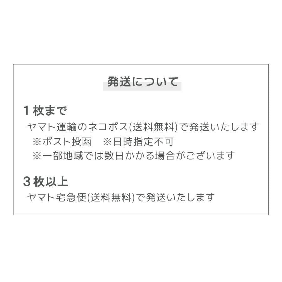 ブラジャー ノンワイヤーブラ ノンワイヤーブラジャー ワイヤレスブラジャー ワイヤー無し 女性 下着 レディース |  | 12
