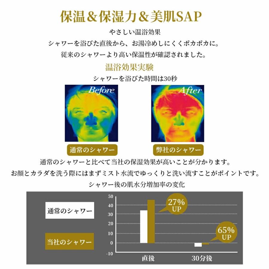 在庫一掃】シャワーヘッド ミスト 残り僅か マイクロナノバブル 節水 