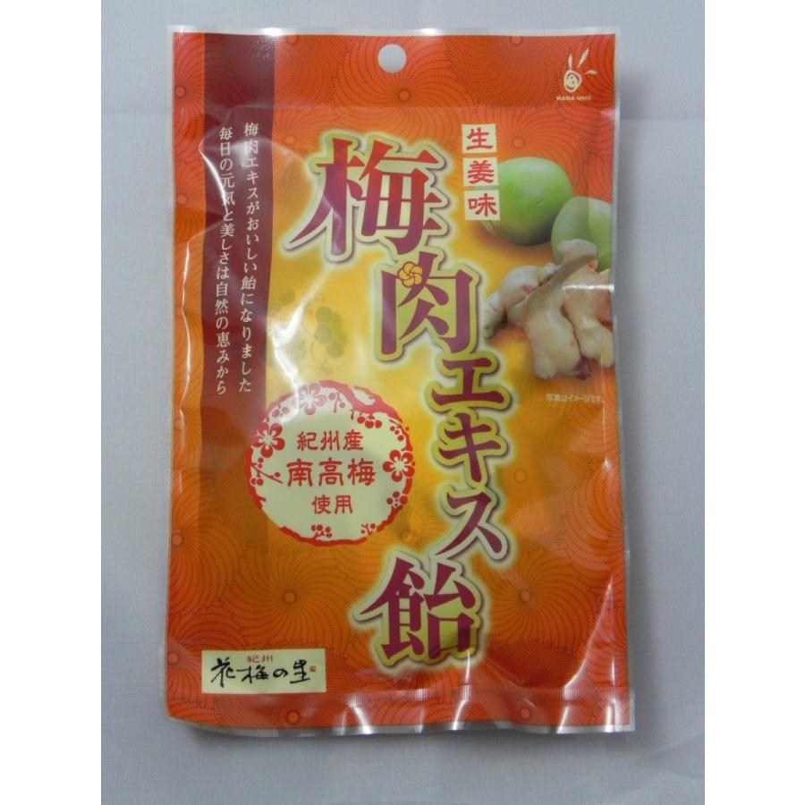 梅肉エキス飴 生姜味 のど飴 ５０ｇ Bm 2 ワイアンドワイ ストア3 通販 Yahoo ショッピング