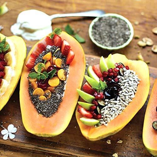 セール販売店舗 ポポー2年生接木苗 5号ポット苗 品種 ペンシルバニアゴールデン 果樹 接木苗 1本売り 激安 店 Foundationbts Com