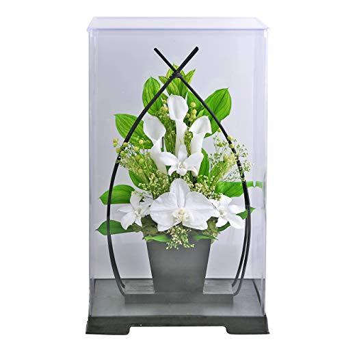 限定価格セール アートフォーシーズン お供え花 クリアケース付き１号サイズ胡蝶蘭カラー プリザーブドフラワー 保証書付 Ltr1 Pl