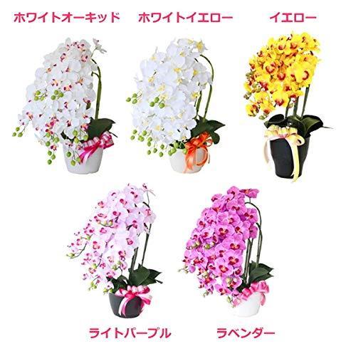 山久 常滑陶鉢の鉢植 プレ 造花 Ct触媒加工 胡蝶蘭 シルクフラワーの 胡蝶蘭 7本立 ライトパープル 0811 41 常滑陶鉢の鉢植 鉢黒 開店祝い S 2524 プレ 新築祝い ギフト Yanoショップ 全新品