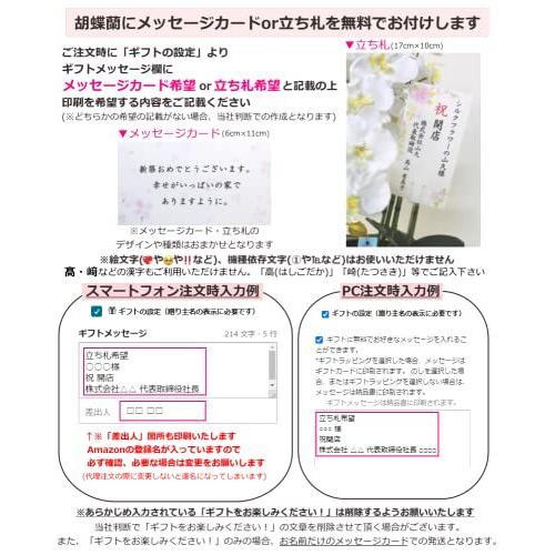 山久 常滑陶鉢の鉢植 プレ 造花 Ct触媒加工 胡蝶蘭 シルクフラワーの 胡蝶蘭 7本立 ライトパープル 0811 41 常滑陶鉢の鉢植 鉢黒 開店祝い S 2524 プレ 新築祝い ギフト Yanoショップ 全新品