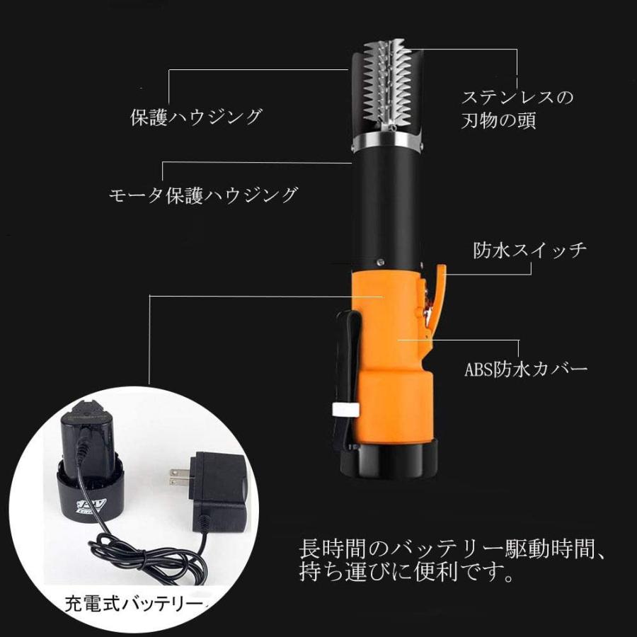 期間限定特価 Speder Direct うろこ取り ウロコ取り 電動 充電式 魚の鱗除去器 防水 高速除去 快速クリーナー 鱗発散防止 キッチン用品調理 55 以上節約 Www Shandilyaz Com
