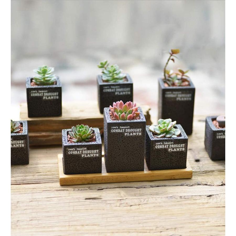 Iwailoft サボテン鉢 植木鉢 ミニ 多肉植物鉢 多肉植物ポット セット 北欧 おしゃれ 卓上 置物 インテリア プレゼント 2号鉢 Yan Yan 通販 Yahoo ショッピング