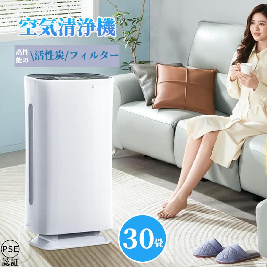 空気清浄機 花粉 30畳 小型 空気清浄器 ウィルス対応 消臭 PM2.5対策 