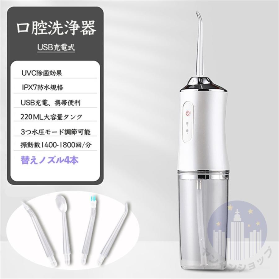 口腔洗浄器 ジェットウォッシャー USB充電式 防水 調節 220MLタンク