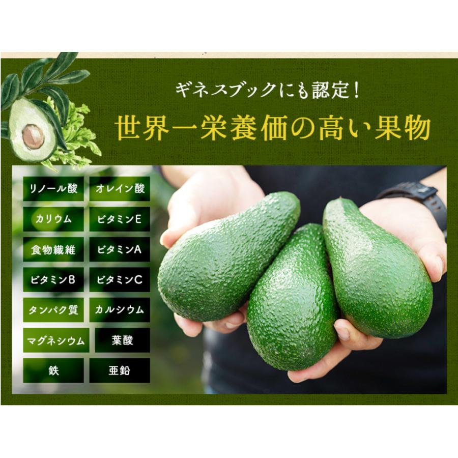 横山果樹園の「ひなたプリンセス（国産アボカド）」【２Sサイズ２玉　合計約350g】 |  | 04