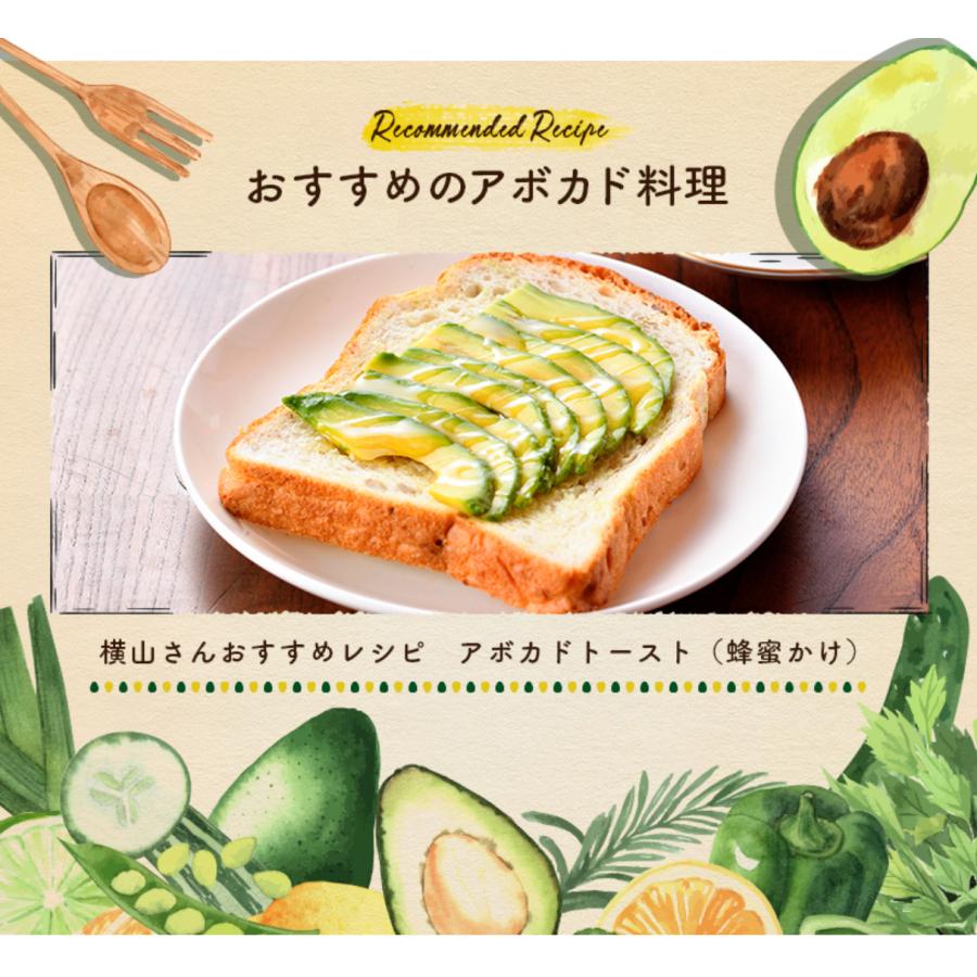 横山果樹園の「ひなたプリンセス（国産アボカド）」【２Sサイズ２玉　合計約350g】 |  | 06