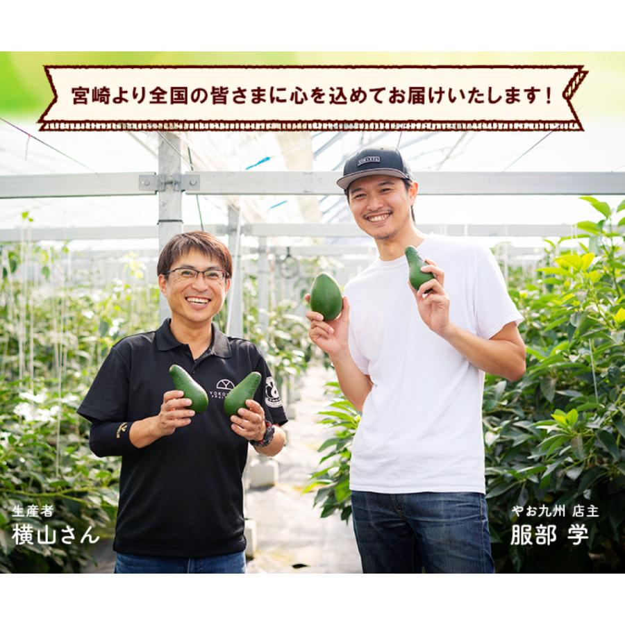 横山果樹園の「ひなたプリンセス（国産アボカド）」【２Sサイズ２玉　合計約350g】 |  | 07