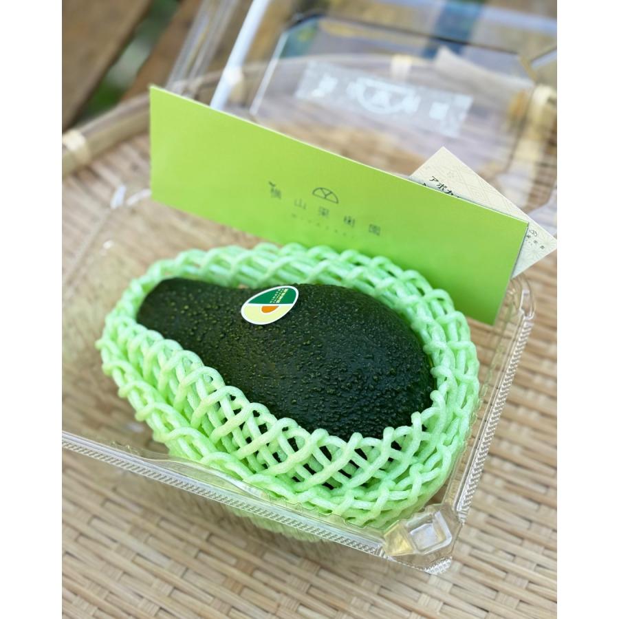 横山果樹園の「ひなたプリンセス（国産アボカド）」【Mサイズ1玉 約