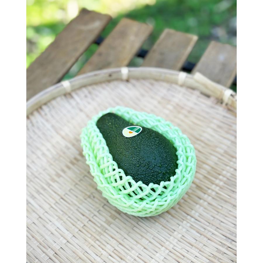 横山果樹園の「ひなたプリンセス（国産アボカド）」【Mサイズ1玉 約