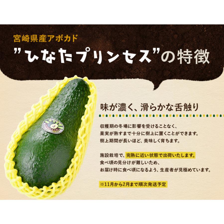 横山果樹園の「ひなたプリンセス（国産アボカド）」【Mサイズ1玉 約