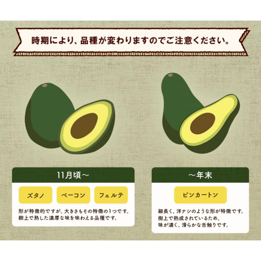 横山果樹園の「ひなたプリンセス（国産アボカド）」【Mサイズ1玉 約