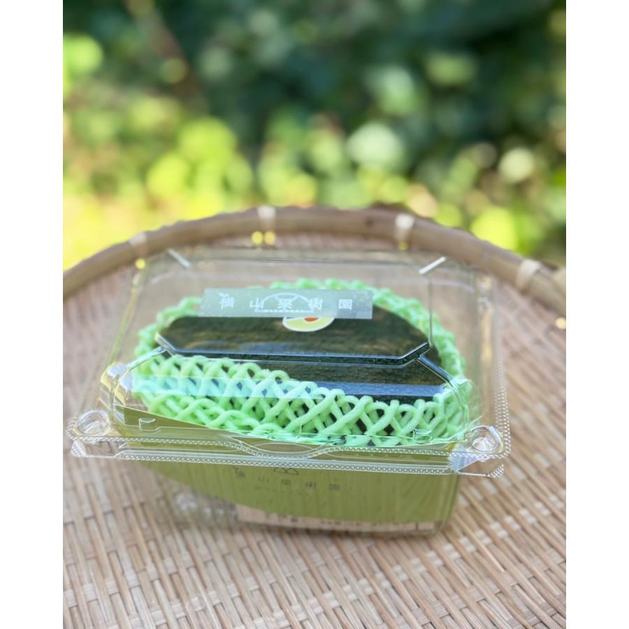 横山果樹園の「ひなたプリンセス（国産アボカド）」【Lサイズ1玉 約