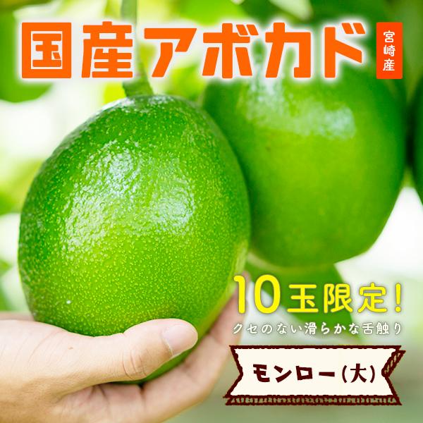【2025年分受付は終了しました】「モンロー（国産アボカド）大サイズ１玉」 | 
