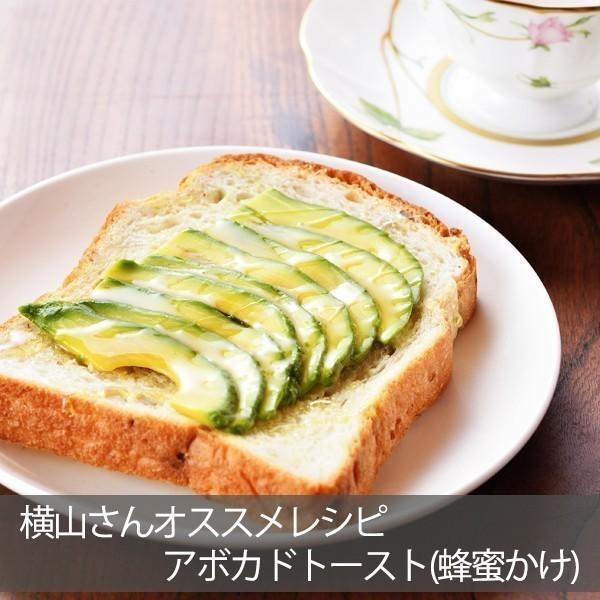 【2025年分受付は終了しました】「モンロー（国産アボカド）大サイズ１玉」 |  | 01