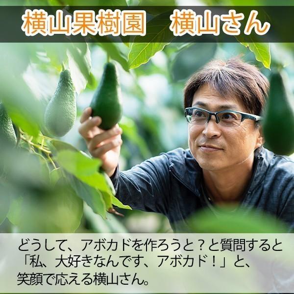 2025年分受付は終了しました】横山果樹園の「ムラシゲ（国産アボカド