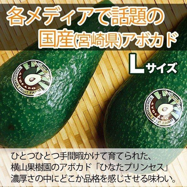 【5セット限定】横山果樹園の「国産アボカドLサイズとアボカドの蜂蜜のセット」｜yao800｜09