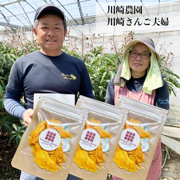 【宮崎県産】摘果マンゴー 20kg（送料込み）本日収穫・本日発送！ JP宮崎マンゴーソフトミックス、2年ぶり数量限定で発売します。 | 日世