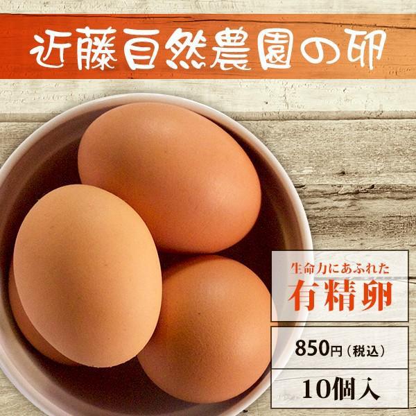 【有精卵】近藤自然農園の卵【10個入】 | 