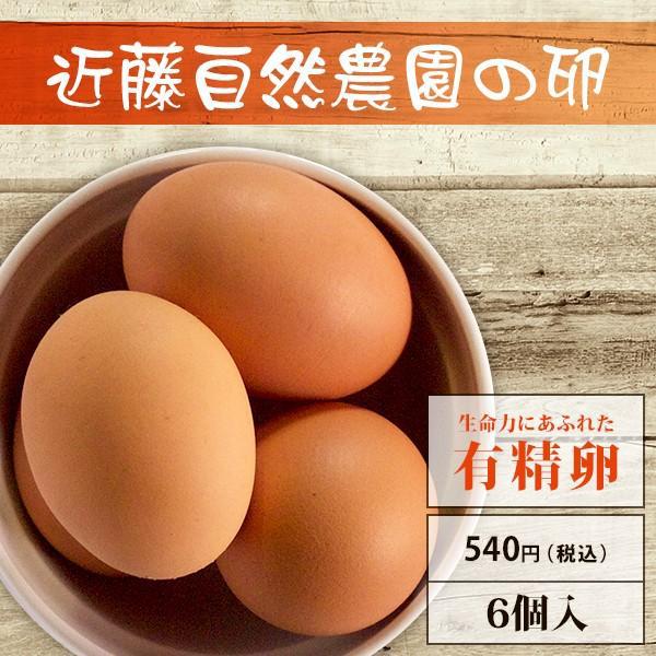 【有精卵】近藤自然農園の卵【6個入】 | 