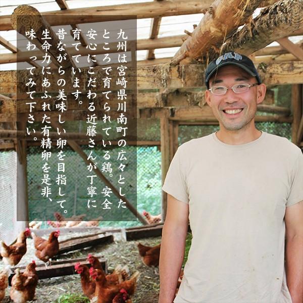 【有精卵】近藤自然農園の卵【6個入】 |  | 01