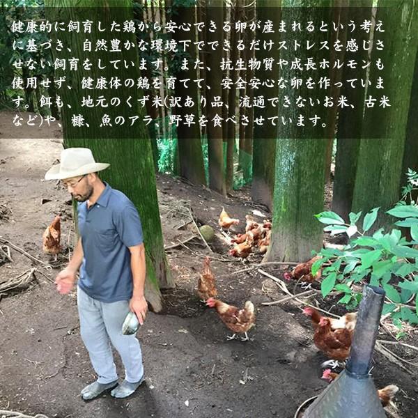 【有精卵】近藤自然農園の卵【6個入】 |  | 02