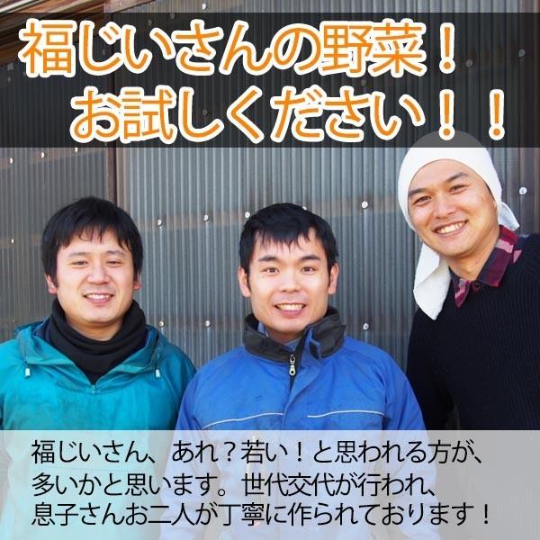 福じいさんの野菜【ほうれん草】宮崎県綾町産ほうれん草 150g＊7袋 |  | 03