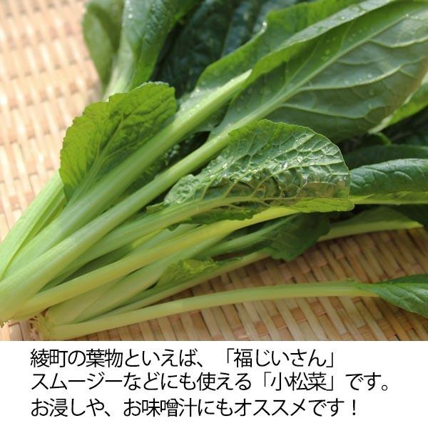 福じいさんの野菜【小松菜】宮崎県綾町産小松菜 150g＊7袋 |  | 01