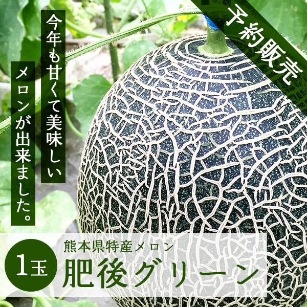 肥後グリーン メロン1玉