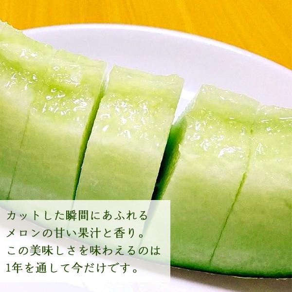熊本県産メロン 肥後グリーン 1玉 予約販売 送料無料 ギフト プレゼント 贈答品  父の日 お中元 |  | 01