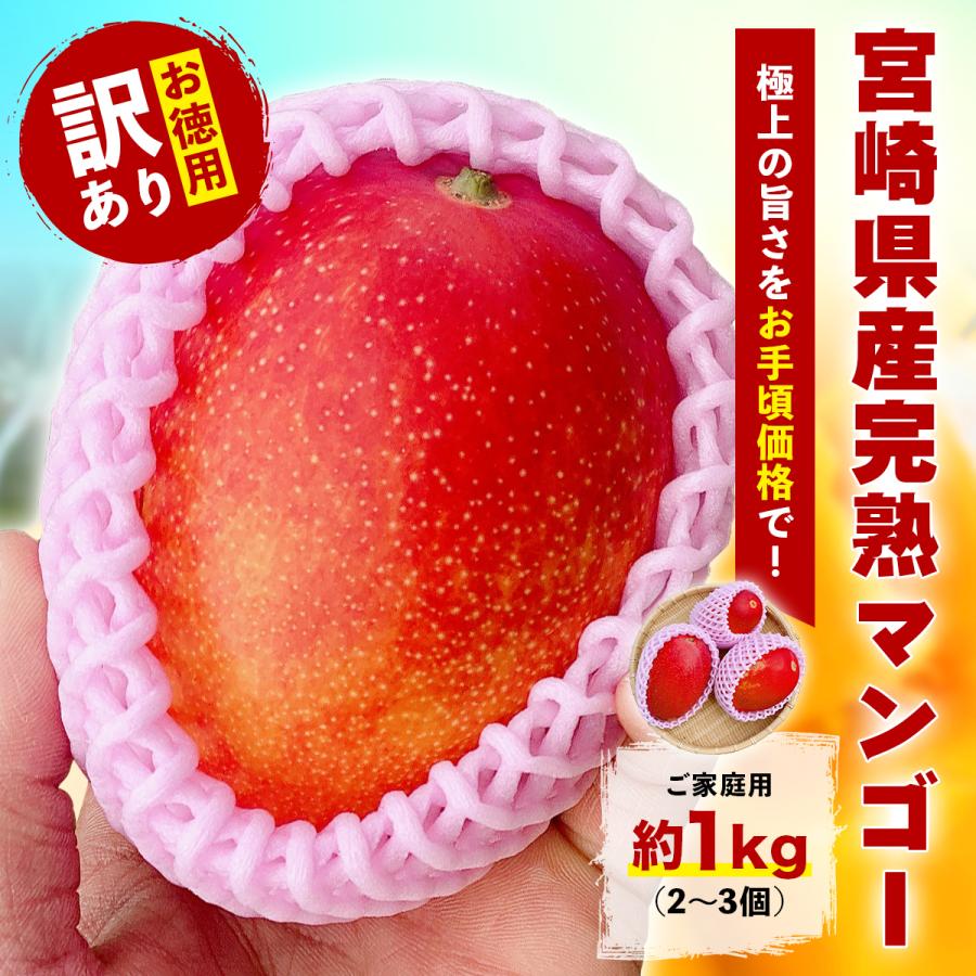 宮崎県産 完熟マンゴー 1kg(2〜3個前後) 訳あり お試し お徳用 宮崎県産 完熟マンゴー 1kg(2〜3個前後) 訳あり お試し お徳用