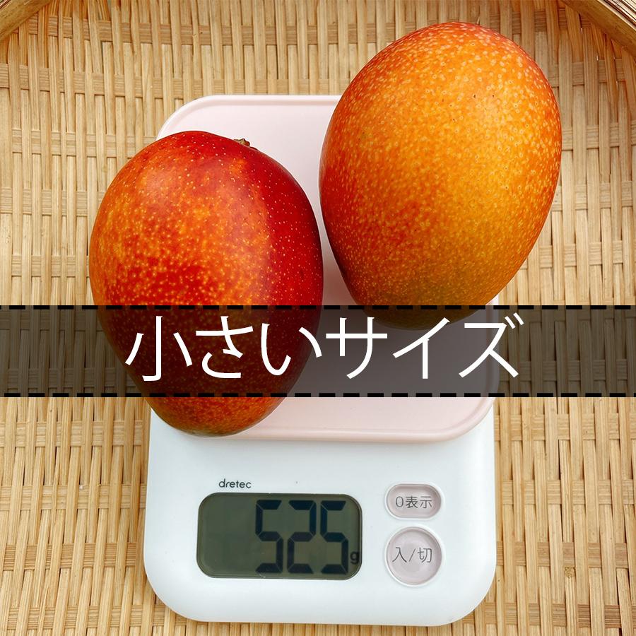 宮崎県産 完熟マンゴー 1kg(2〜3個前後) 訳あり お試し お徳用 宮崎県産 完熟マンゴー 1kg(2〜3個前後) 訳あり お試し お徳用