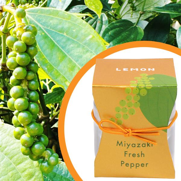 Miyazaki Fresh Pepper ーLEMONー | 