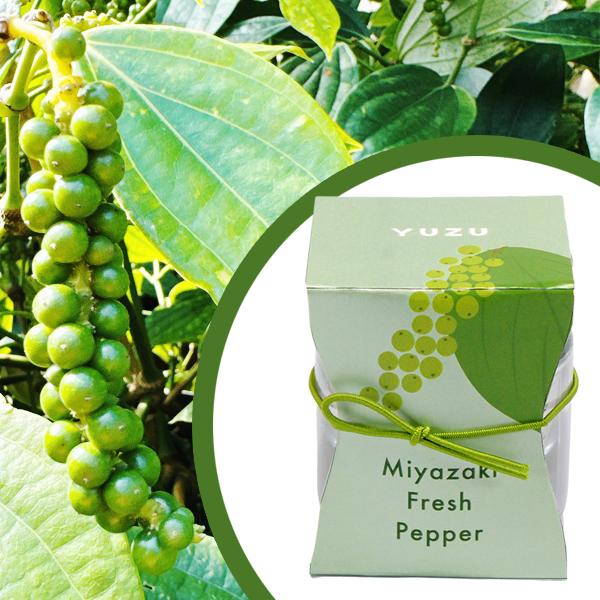 Miyazaki Fresh Pepper −YUZUー | 