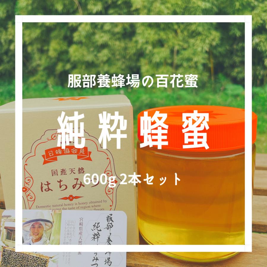 予約受付】【2025年度】国産ハチミツ【600g*2本】 宮崎県産 予約受付】【2025年度】国産ハチミツ【600g*2本】 宮崎県産