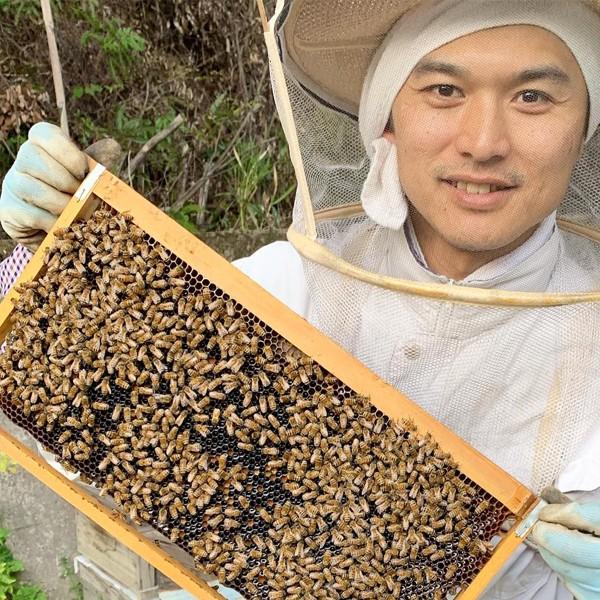 予約受付】【2025年度】国産ハチミツ【600g*2本】 宮崎県産 予約受付】【2025年度】国産ハチミツ【600g*2本】 宮崎県産