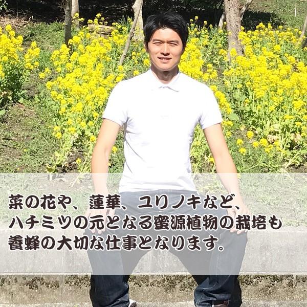 予約受付】【2025年度】国産ハチミツ【600g*2本】 宮崎県産 予約受付】【2025年度】国産ハチミツ【600g*2本】 宮崎県産