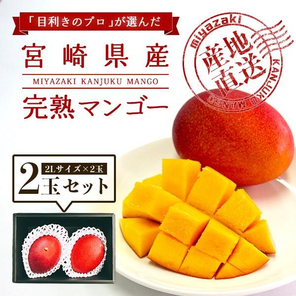 宮崎完熟マンゴー 2個セット 2Lサイズ ギフト プレゼント 贈答品 母の日、父の日 | 