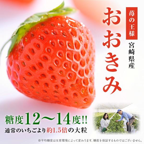 やお九州 - Yahoo!ショッピング