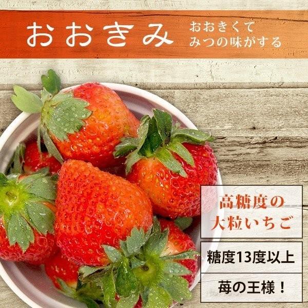 【イチゴの王様】宮崎県 大野農園 産"おおきみ"｜yao800｜02