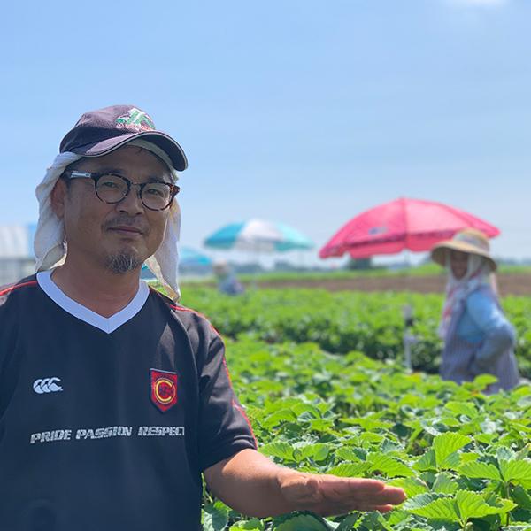 【イチゴの王様】宮崎県 大野農園 産"おおきみ" |  | 04
