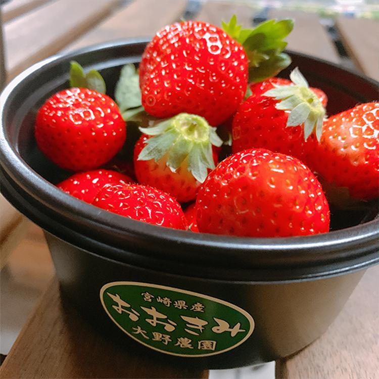 【おおきみとはちみつ】宮崎県産イチゴジャム １本　ギフト プレゼント 贈答品　御中元 |  | 04
